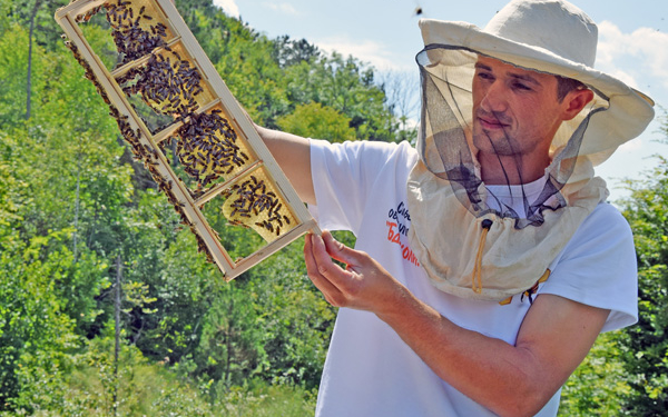 Історія успіху в Підгайцях: із безробітних – в одного із засновників кооперативу і сільського старосту