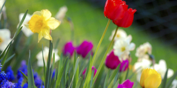 Тернопільщину накриють дощі та тумани на тлі потепління