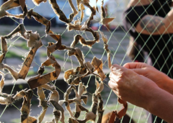 Тернопільські історики плетуть маскувальні сітки: потрібний матеріал