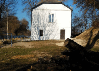 Батьки учнів через суд скасували закриття школи під Тернополем