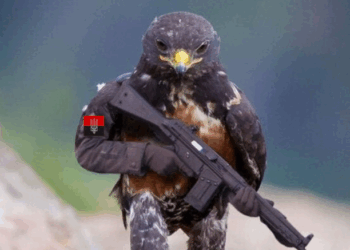 “Фейки” про розробку в Україні вірусів для поширення птахами в Росії запускає міноборони РФ