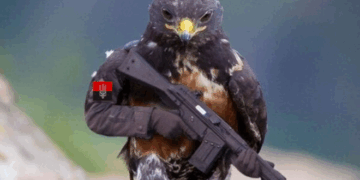 “Фейки” про розробку в Україні вірусів для поширення птахами в Росії запускає міноборони РФ