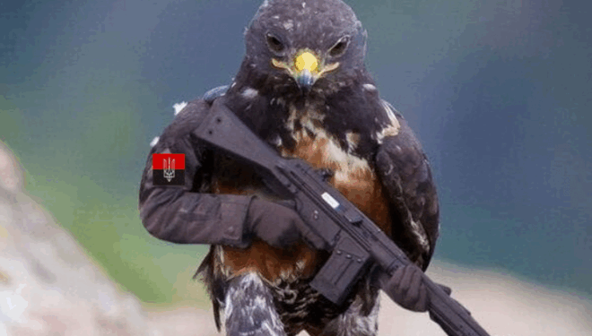 “Фейки” про розробку в Україні вірусів для поширення птахами в Росії запускає міноборони РФ