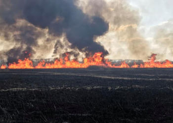 На Кременеччині люди разом із пожежниками боролися з вогем