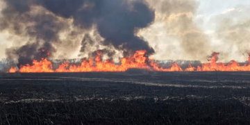 На Кременеччині люди разом із пожежниками боролися з вогем