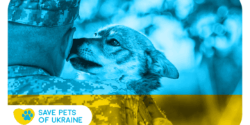 Save Pets of Ukraine: стартувала ініціатива з допомоги чотирилапим під час війни