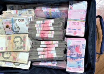 Жінка з Кременеччини доглядала за старенькою і вкрала 2 млн гривень