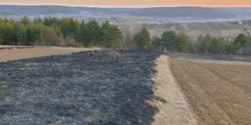 Міський голова з Тернопільщини дає винагороду за спійманого палія