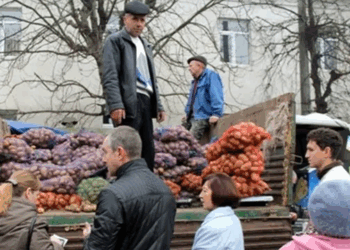 Посівна та ярмарки: як на Тернопільщині підтримуватимуть аграріїв