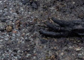 Чи можлива російська культура після Бучі? – Томик Бродського у розстрільній кімнаті