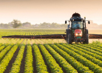 сільське господарство