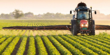 сільське господарство