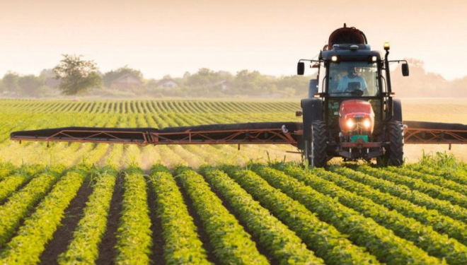 сільське господарство