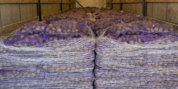 Разом — сильніші: «Контінентал» підтримує країну