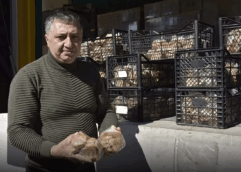 Власник пекарні у Тернополі зі своїми пекарями цілодобово трудиться для перемоги України