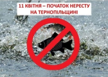 На тернопільщині сьогодні розпочинається нерестова заборона на лов вилов риби