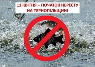 На тернопільщині сьогодні розпочинається нерестова заборона на лов вилов риби