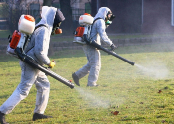 Наступного тижня тернопільські парки почнуть обробляти від іксодових кліщів