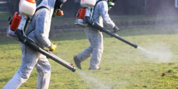 Наступного тижня тернопільські парки почнуть обробляти від іксодових кліщів