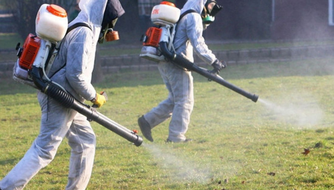 Наступного тижня тернопільські парки почнуть обробляти від іксодових кліщів