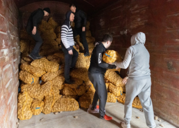 Понад 300 тон картоплі відправили жителям Харківщини з Тернополя