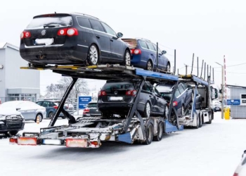 Хороша новина: тепер тернополяни можуть безкоштовно розмитнити авто з-закордону