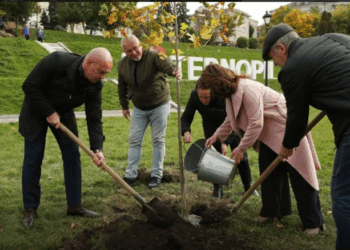 озеленення