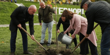 озеленення