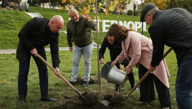 озеленення