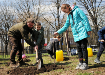 Військові Тернопільщини спільно з переселенцями висадили кущі калини на території  Державного архіву Тернопільської області