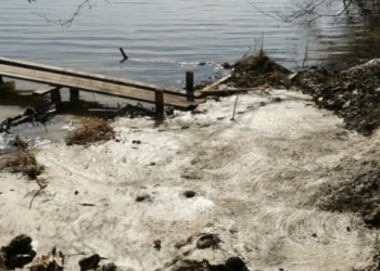 Тернопільський став забруднили будівельною пульпою