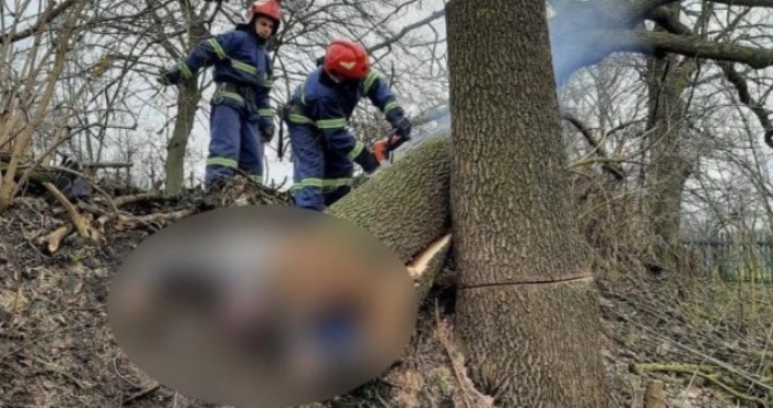 На Кременеччині в лісгоспі загинув чоловік