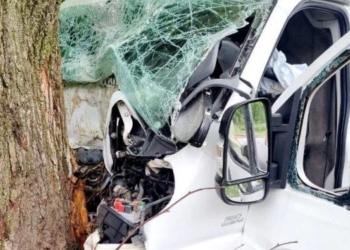 Авто вщент, проте водій вижив, – ДТП з Збаразькій ОТГ, бус врізвся у дерево