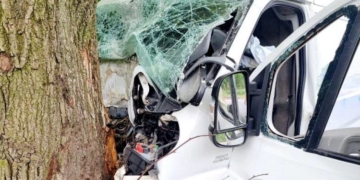 Авто вщент, проте водій вижив, – ДТП з Збаразькій ОТГ, бус врізвся у дерево