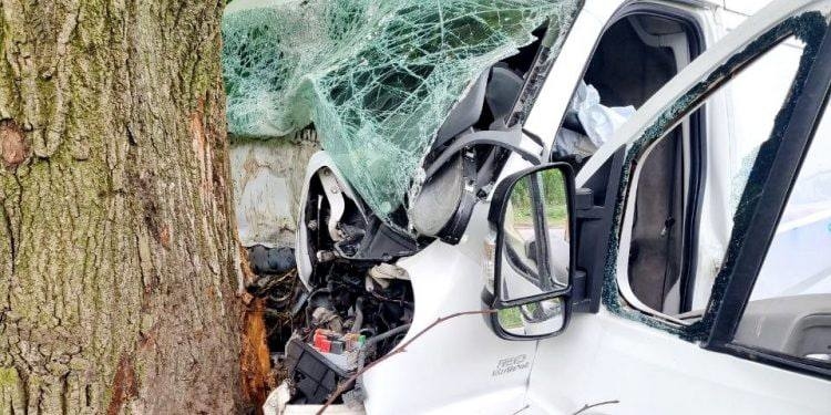 Авто вщент, проте водій вижив, – ДТП з Збаразькій ОТГ, бус врізвся у дерево