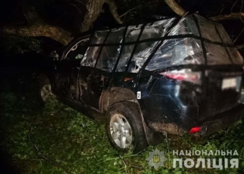 У Заліщиках водій «Тойоти» в’їхав у дерево. Четверо людей травмовано