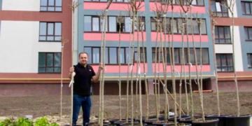 28 бігнонієвидних катальп висадили у Варшавському мікрорайоні Тернополя