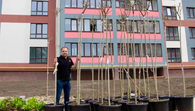 28 бігнонієвидних катальп висадили у Варшавському мікрорайоні Тернополя