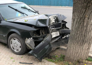 Зупинило дерево: на Тернопільщині п’яний священник скоїв ДТП. ВІДЕО