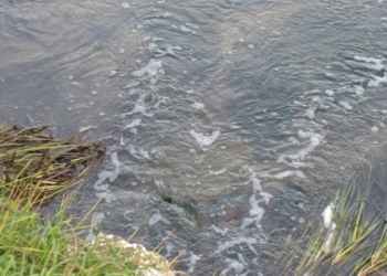 Трагічний випадок трапився в селі Глібів, – в місцевій річці виявили тіло чоловіка