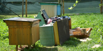 Від п’яти до восьми років позбавлення волі, – на Тернопільщині нетверезі юнаки вкрали у односельця вулик