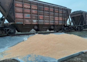 Привласнив понад 200 тисяч готівки та 330 тисяч кілограм зерна, – екс-директор агропідприємства на Тернопільщині вийшов сухим з води