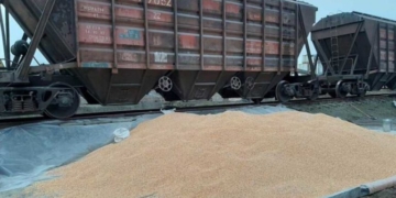 Привласнив понад 200 тисяч готівки та 330 тисяч кілограм зерна, – екс-директор агропідприємства на Тернопільщині вийшов сухим з води