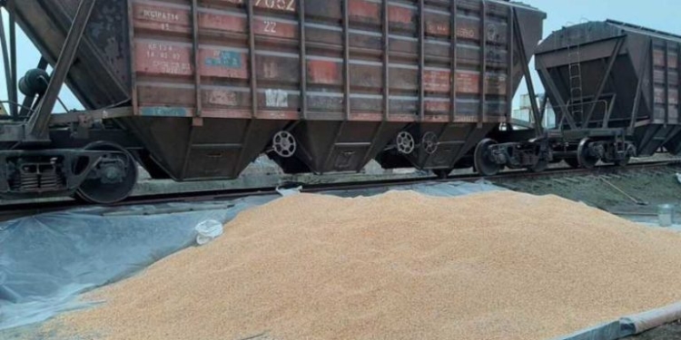 Привласнив понад 200 тисяч готівки та 330 тисяч кілограм зерна, – екс-директор агропідприємства на Тернопільщині вийшов сухим з води