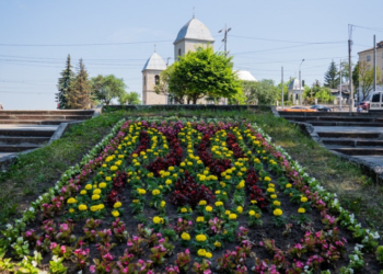 Тернопіль розквітає патріотично, – у парку Топільче зацвів величезний тризуб