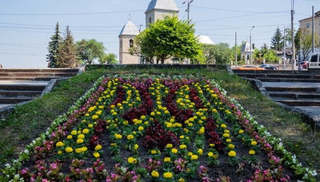 Тернопіль розквітає патріотично, – у парку Топільче зацвів величезний тризуб