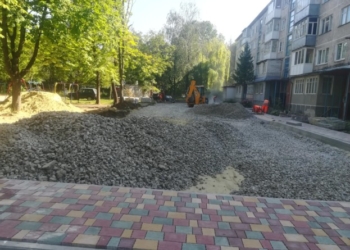 У Тернополі на вулиці Слівенська 13 зрізали 11 здорових, великих дерев на потребу «благоустрою»