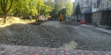 У Тернополі на вулиці Слівенська 13 зрізали 11 здорових, великих дерев на потребу «благоустрою»