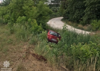 На Тернопільщині нетверезий водій з’їхав у кювет: дивом, ніхто не постраждав