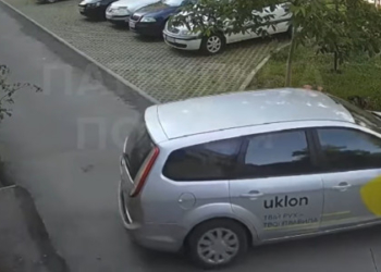 У Тернополі водій ford, наче навмисне, розїхав клумби біля будинку і втік з місця ДТП